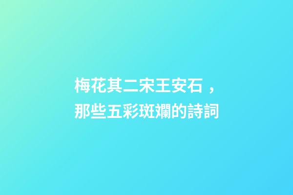 梅花其二宋王安石，那些五彩斑斕的詩詞-第1張-觀點-玄機派